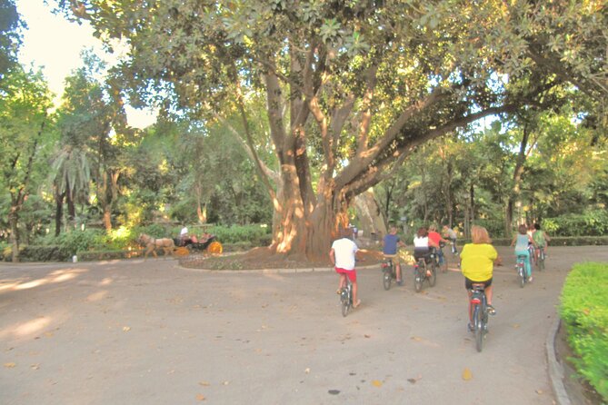 Electric Bike Rental 3 hours - Picking Up Your E-Bike on C. de Castelar, 9