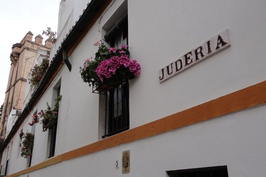 Enchanted Seville: Private Walking Tour - What makes it private, and how that changes your evening