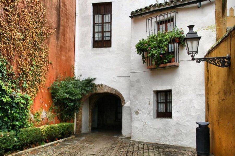 Enchanted Seville Walking Tour - Cabeza del Rey Don Pedro: how one street can hold an incredible story