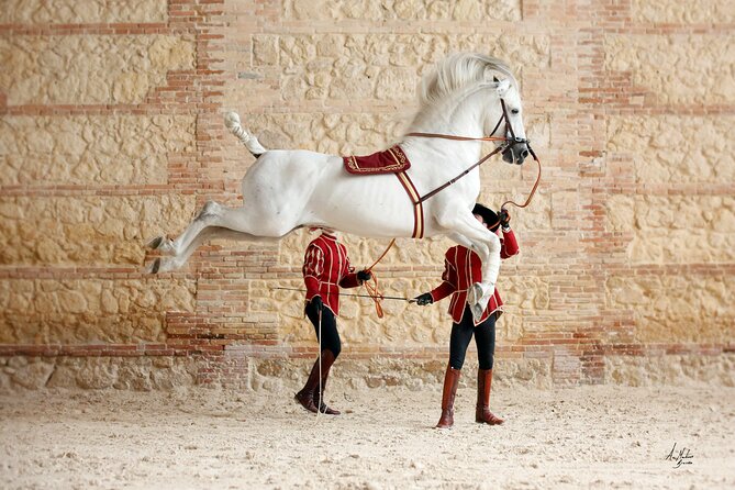 Equestrian Show Royal Stables of Córdoba - The main event: how dressage and flamenco work together