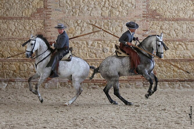 Equestrian Show Royal Stables of Córdoba - Price and value: is it worth about $22 per person?