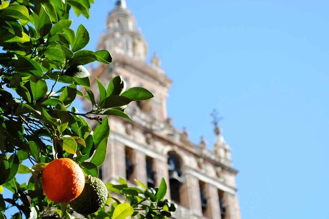 Essential Seville Tour - Inside Seville Cathedral, from size to symbolism