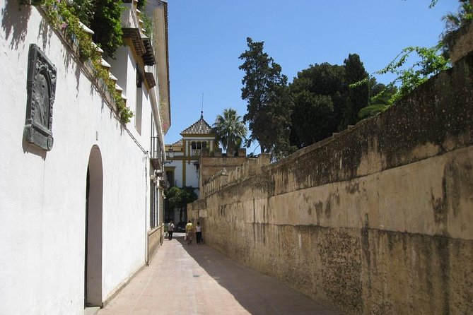 Essential Seville Tour - Arenal and Arco del Postigo del Aceite: A Stroll Through City Rhythm