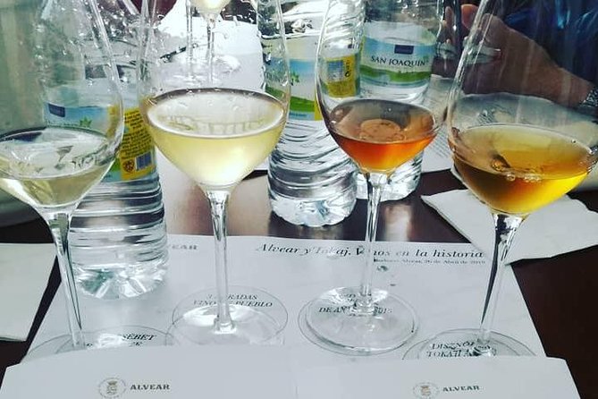 Evening Wine Tasting Córdoba - The tasting lineup: Fino, Oloroso, and sweet Pedro Ximénez