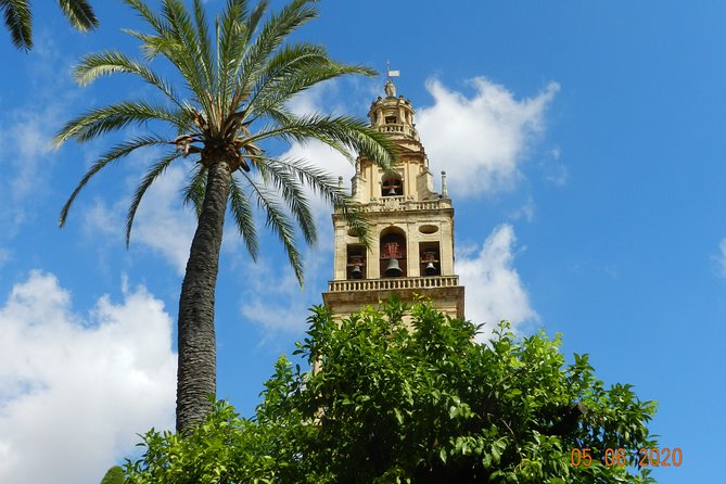 Exclusive visit to the Mosque with official guide. Small groups - Meeting at Patio de los Naranjos, Then Finishing Inside for Photos