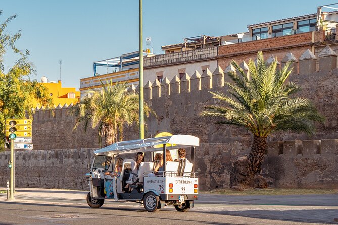 Expert Tour of Seville in Private Eco Tuk Tuk - Triana Bridge to Triana: food, crafts, and river rhythm