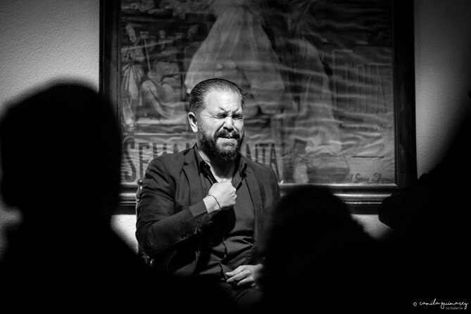Flamenco Show in Seville at Bar and Tapas - Who Should Book This, and Who Might Want a Longer Show