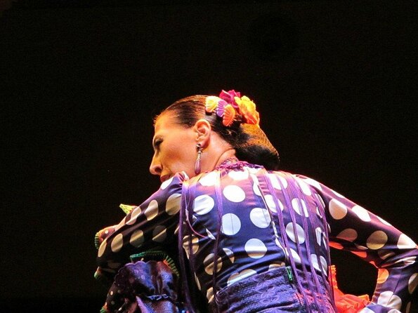 Flamenco Show "Museo de Baile Flamenco" - Key Points Before You Go
