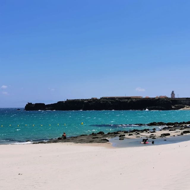 From Cadiz: Tarifa & Roman Ruins - Baelo Claudia: Roman ruins, outdoor walking, and the Africa line idea