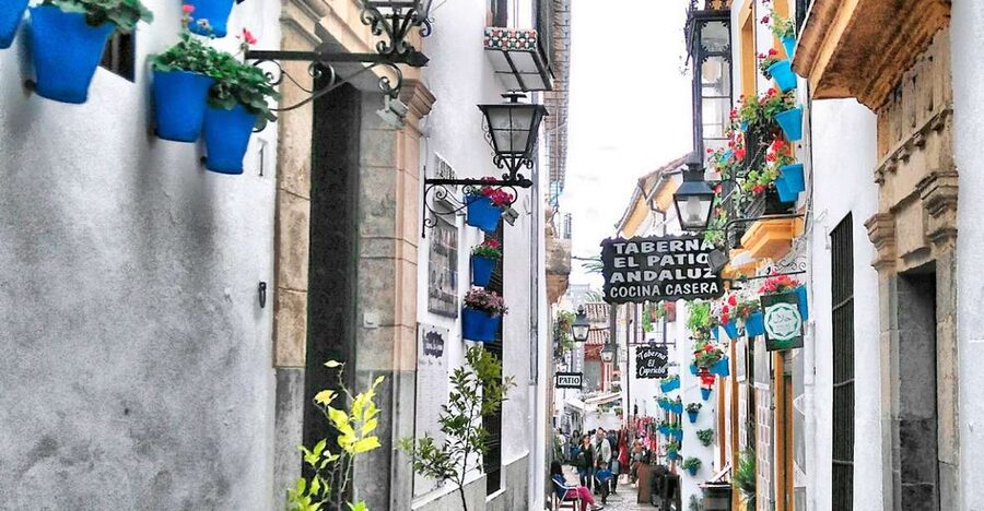 From Costa del Sol: Day Trip to Cordoba Free Time - Key highlights to look for