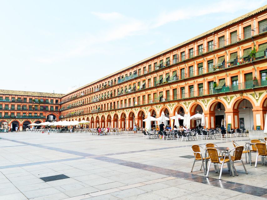 From Costa del Sol: Day Trip to Cordoba Free Time - Price and Practicalities: Is $53 Good Value?