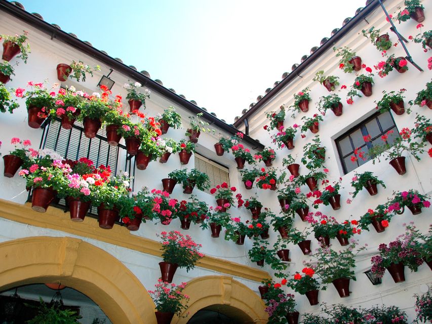 From Costa del Sol: Day Trip to Cordoba Free Time - Lucena Free Time: The Smaller Stop That Changes Your Pace