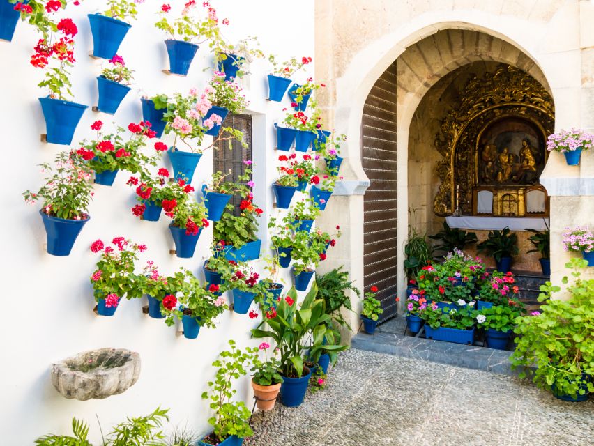 From Costa del Sol: Day Trip to Cordoba Free Time - Your 5 Hours in Córdoba: How to Spend Them Smart