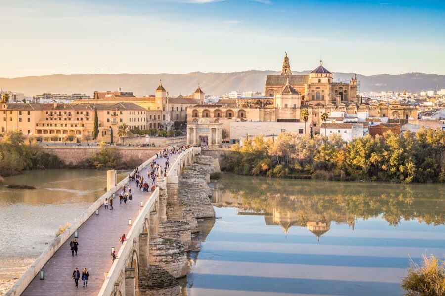 From Costa del Sol: Day Trip to Cordoba Free Time - Patios and Main Sights: Patio de los Naranjos, Alcázar, and the Mosque-Cathedral Choice
