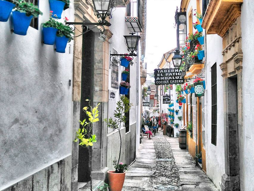 From Costa del Sol: Day Trip to Cordoba Free Time - The Coach Ride From Costa del Sol, and What the Guide Adds