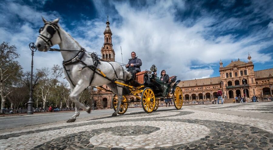 From Costa del Sol: Seville and Royal Alcázar Palace - Why This Seville Day Trip From Costa del Sol Works