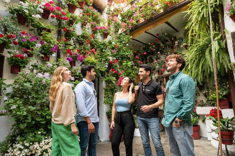 From Madrid: Córdoba Private Day Tour by High-Speed Train - Key points to know before you go