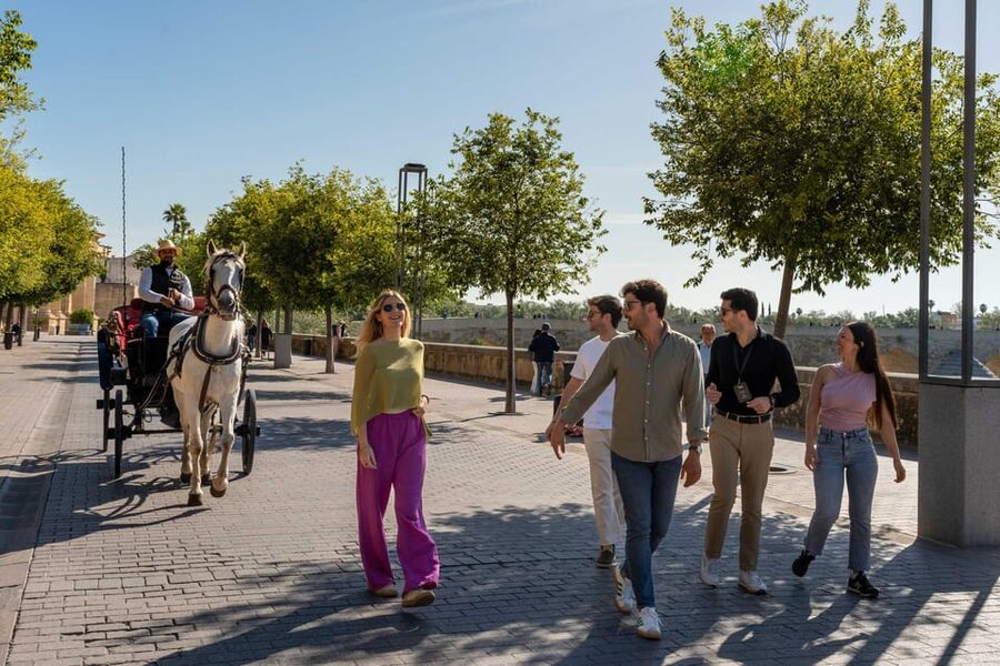 From Madrid: Córdoba Private Day Tour by High-Speed Train - Group Size, Guide Style, and the Language Factor