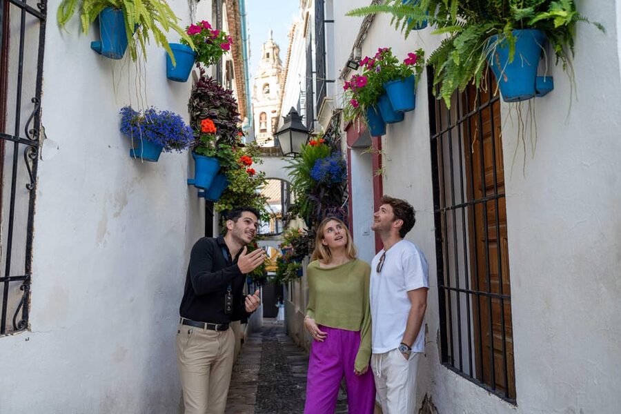 From Madrid: Córdoba Private Day Tour by High-Speed Train - The Madrid to Córdoba Train, and Why Atocha Timing Matters