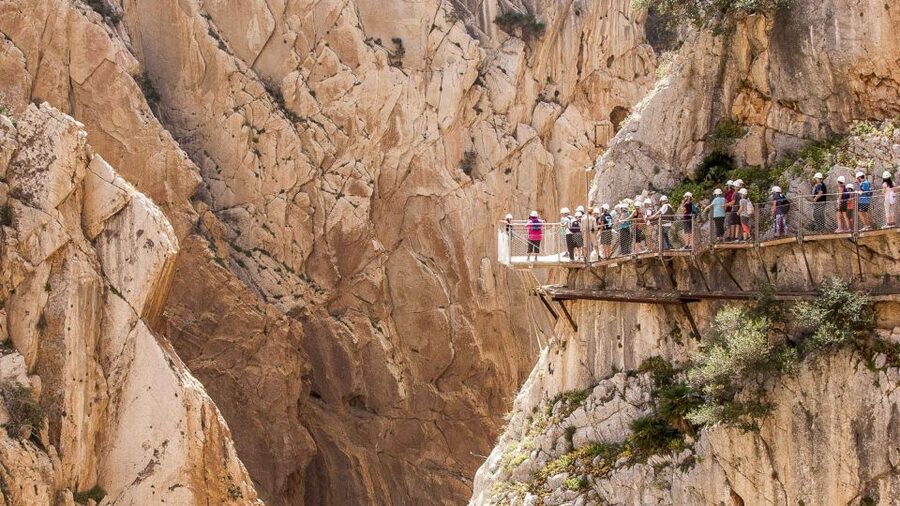 From Málaga: Caminito del Rey Day Trip by Bus - Lunch and downtime: water, food options, and end-of-walk details