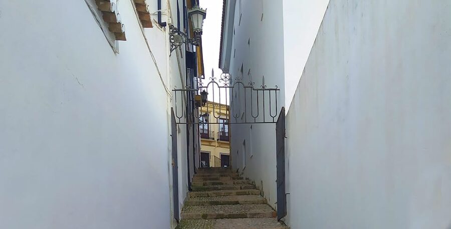 From Malaga: Ronda and Setenil Tour with Scenic Train - Comfort Tips So You Enjoy It More