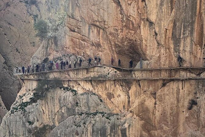 From Sevilla: Caminito Del Rey tour with Private Transportation - Tickets, phones, and the smart way to avoid day-of stress