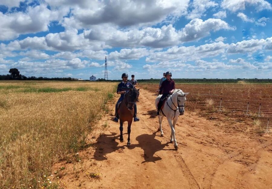 From Seville: Andalusian Horseback Ride - Key things to know before you saddle up