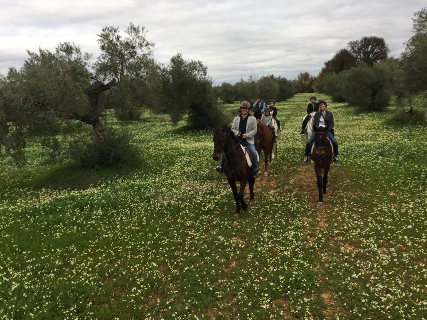 From Seville: Andalusian Horseback Ride - If you want beaches and dunes, pick the right Doñana-style ride