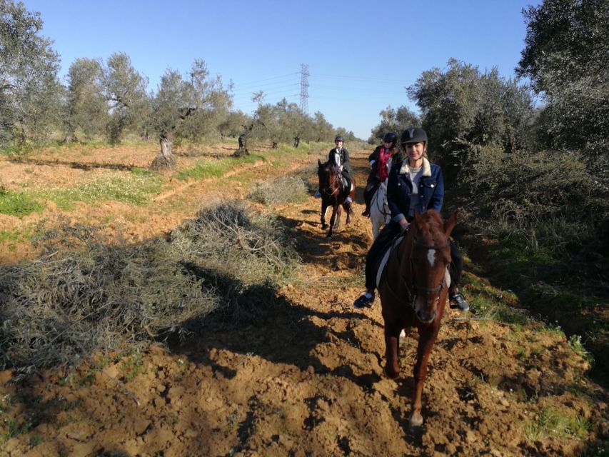 From Seville: Andalusian Horseback Ride - Why this ride works so well as a Seville break