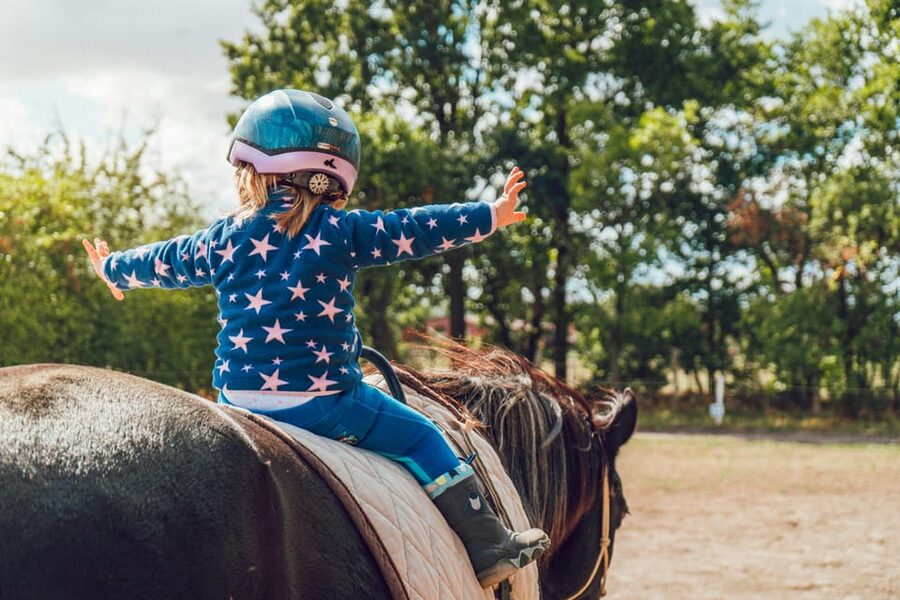 From Seville: Andalusian Horseback Ride - What happens before you ride, and why it matters