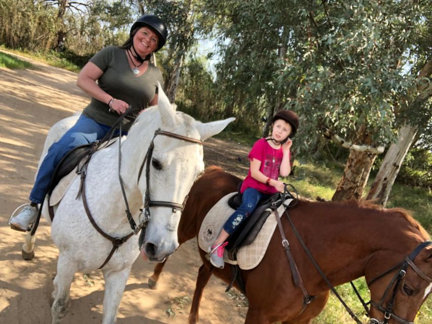 From Seville: Andalusian Horseback Ride - Safety rules, age limits, and the one thing you should not ignore