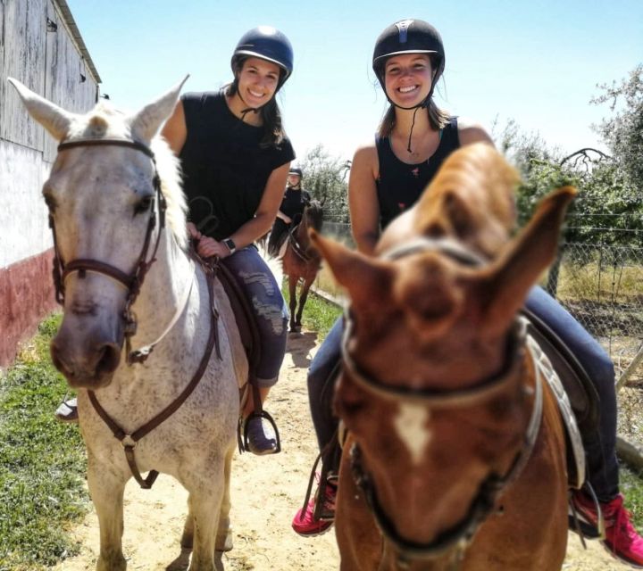 From Seville: Andalusian Horseback Ride - Getting to Bollullos de Mitación from Seville without stress
