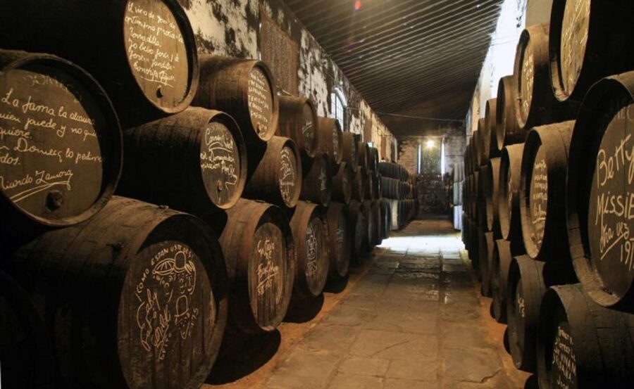 From Seville: Cadiz and Jerez de la Frontera Day Trip - How to use your free time in Cadiz (so you do not rush)