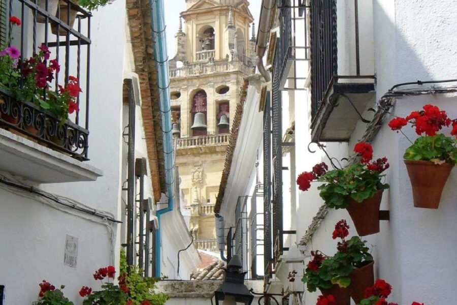 From Seville: Córdoba and Mosque Cathedral Full-Day Tour - Who this tour fits best
