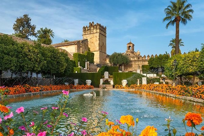 From Seville: Cordoba and Mosque-Cathedral Skip the Line - Group size and comfort: coach rides, headsets, and hearing