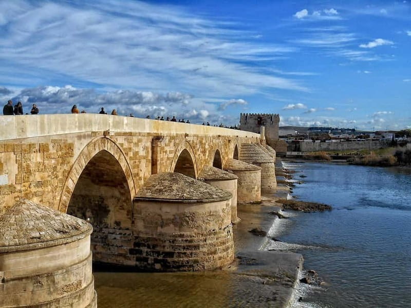From Seville: Cordoba Day Trip with Guided Tour - Getting on the bus in Seville: pickup times that matter