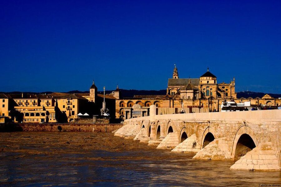 From Seville: Cordoba Full-Day Tour with Tickets Included - Value check: is $123 a good deal?