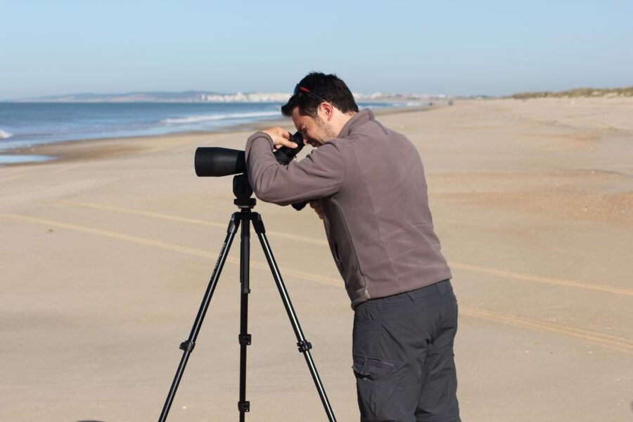 From Seville: Doñana, El Rocio, and Matalascañas Beach Tour - What to bring, how to avoid discomfort