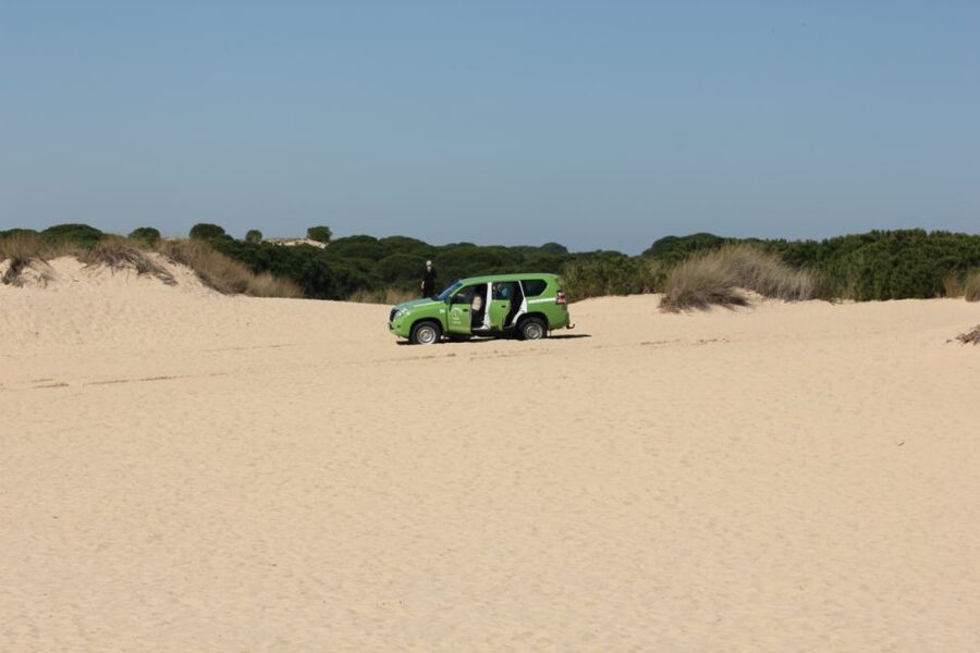 From Seville: Doñana, El Rocio, and Matalascañas Beach Tour - Should you book this Doñana, El Rocío, and Matalascañas tour?