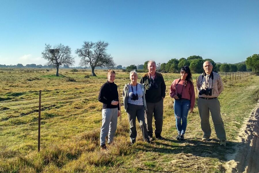 From Seville: Doñana National Park Day Trip - Asperillo sunset and the big mammals bet