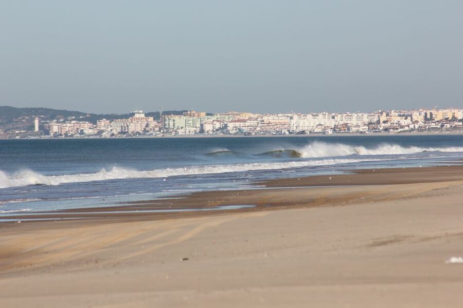 From Seville: Doñana National Park Full-Day Private Tour - From Seville To Doñana: The Long Drive That Actually Helps