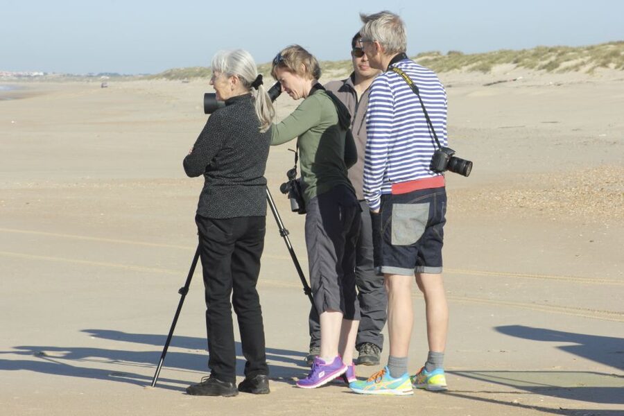From Seville: Doñana Natural Park, El Rocio and Matalascañas - Should you book this Seville to Doñana day trip?