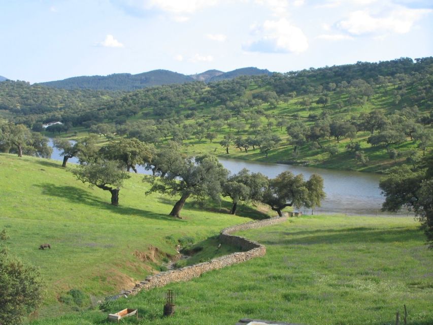 From Seville: Full-Day Aracena & Rio Tinto Mines Tour - Key things that make this day trip click