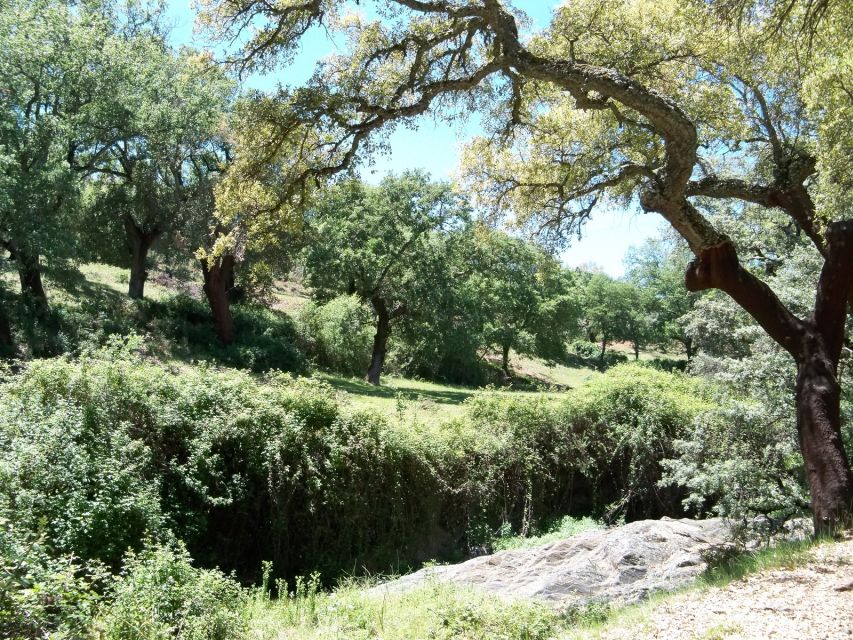 From Seville: Full-Day Aracena & Rio Tinto Mines Tour - Almonaster la Real: a peaceful mosque viewpoint stop