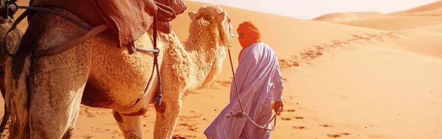 From Seville: Full-Day Tour to Tangier - How organization and guides shape your day