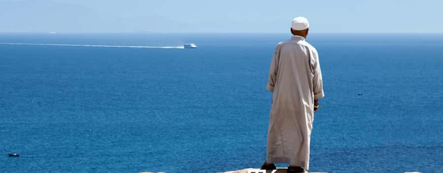 From Seville: Full-Day Tour to Tangier - Camel ride option: fun add-on, choose it or skip it