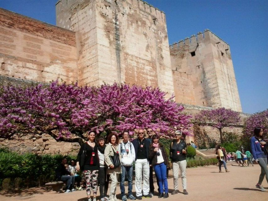 From Seville: Granada Day Trip with Alhambra and Albaicín - Alhambra guided visit: palaces, fortifications, and gardens