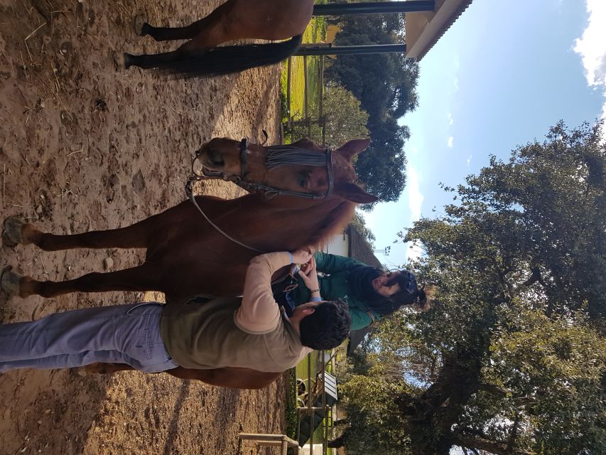 From Seville: Horseback Riding Experience in Aljarafe - Leaving Seville for Aljarafe, the Ride Begins Before You Mount