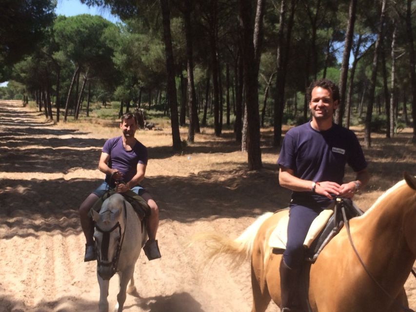 From Seville: Horseback Riding Experience in Aljarafe - The 1.5-Hour Andalusian Ride: Views, Pace, and Real Horse Feel