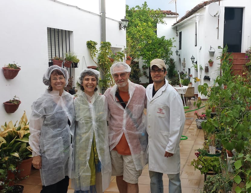 From Seville: Iberian Ham Full-Day Tour to Aracena - Who this tour suits best, and who should think twice
